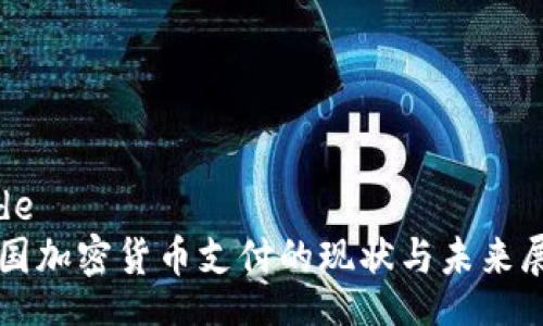 code
韩国加密货币支付的现状与未来展望