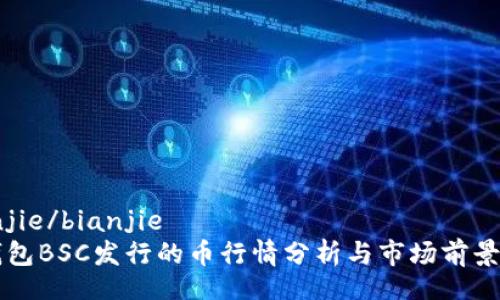 bianjie/bianjie
TP钱包BSC发行的币行情分析与市场前景展望