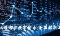 TP钱包可以转哪些数字货币：全面解析与使用指南