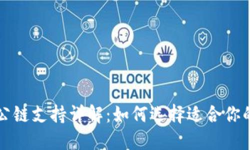TP钱包中的公链支持详解：如何选择适合你的区块链资产