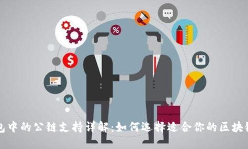 TP钱包中的公链支持详解：如何选择适合你的区块链资产
