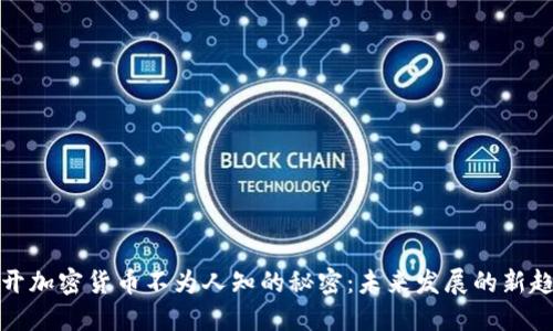 揭开加密货币不为人知的秘密：未来发展的新趋势