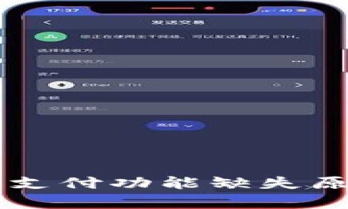 ### TP钱包面容支付功能缺失原因及未来趋势分析