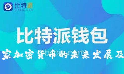 新加坡国家加密货币的未来发展及趋势分析