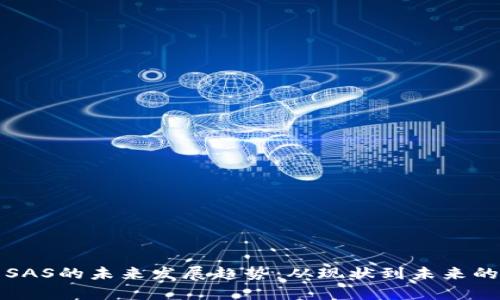 加密货币SAS的未来发展趋势：从现状到未来的前景分析