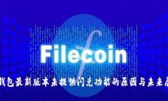 TP钱包最新版本未提供闪兑功能的原因与未来展望