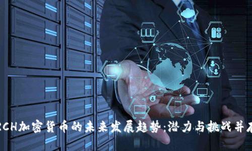 RCH加密货币的未来发展趋势：潜力与挑战并存