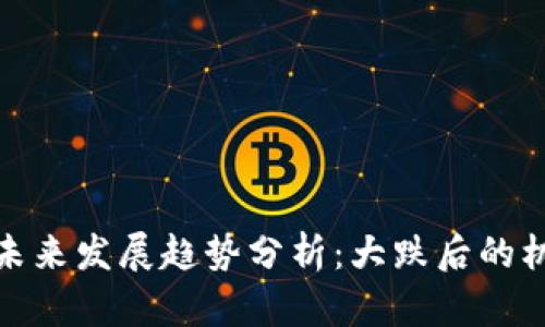加密货币未来发展趋势分析：大跌后的机遇与挑战