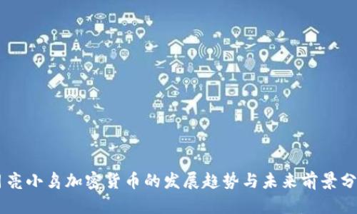 月亮小鸟加密货币的发展趋势与未来前景分析