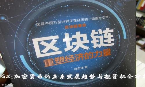 VGX：加密货币的未来发展趋势与投资机会分析