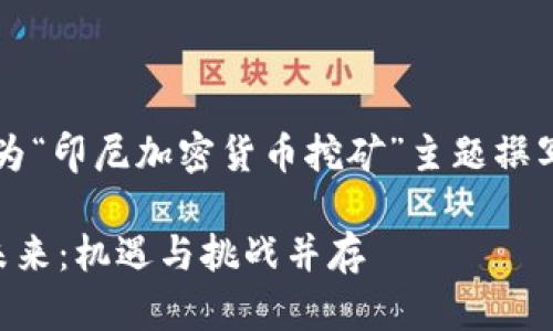 由于篇幅限制，以下是为“印尼加密货币挖矿”主题撰写的和相关关键词示例。

印尼加密货币挖矿的未来：机遇与挑战并存