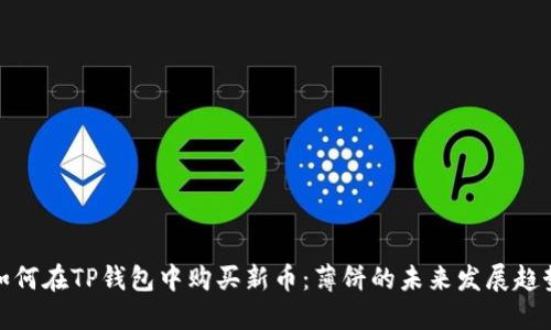 如何在TP钱包中购买新币：薄饼的未来发展趋势
