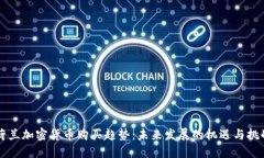 荷兰加密货币购买趋势：未来发展的机遇与挑战