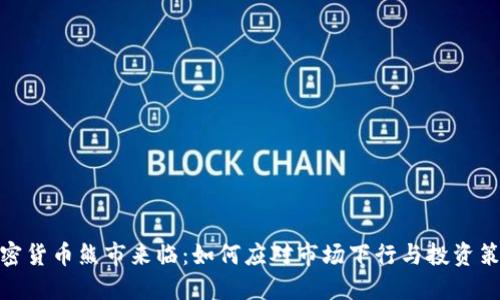 加密货币熊市来临：如何应对市场下行与投资策略