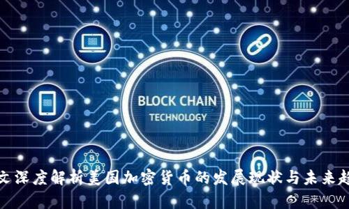 一文深度解析美国加密货币的发展现状与未来趋势
