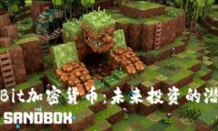 深入解析Bit加密货币：未来投资的潜力与风险