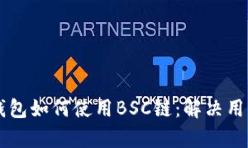 电脑版TP钱包如何使用BSC链：解决用户疑惑解析