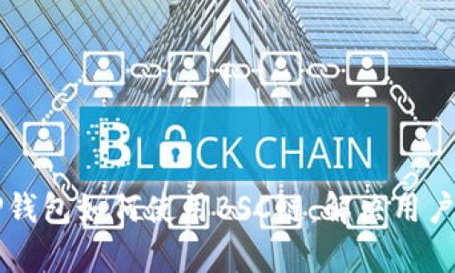 电脑版TP钱包如何使用BSC链：解决用户疑惑解析