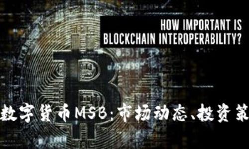 全面解析加密数字货币MSB：市场动态、投资策略与监管动向
