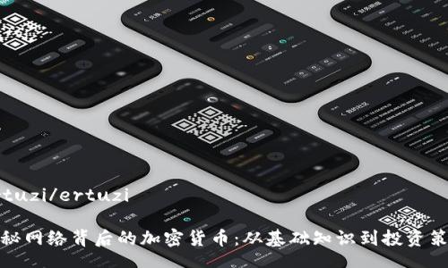 ertuzi/ertuzi

揭秘网络背后的加密货币：从基础知识到投资策略