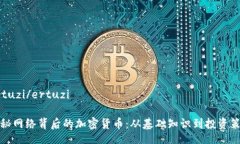 ertuzi/ertuzi揭秘网络背后的加密货币：从基础知识