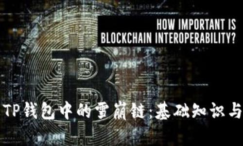 深入了解TP钱包中的雪崩链：基础知识与使用指南
