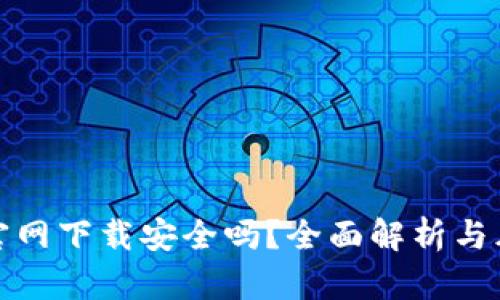 TP钱包官网下载安全吗？全面解析与风险评估