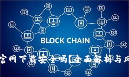 TP钱包官网下载安全吗？全面解析与风险评估