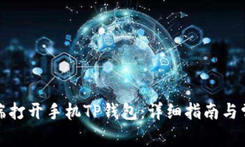 如何在电脑端打开手机TP钱包：详细指南与常见问题解答