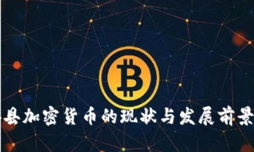 怀安县加密货币的现状与发展前景分析