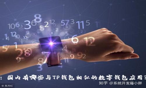 : 国内有哪些与TP钱包相似的数字钱包应用?