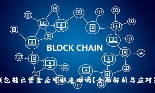 TP钱包转出资金后可以追回吗？全面解析与应对策略