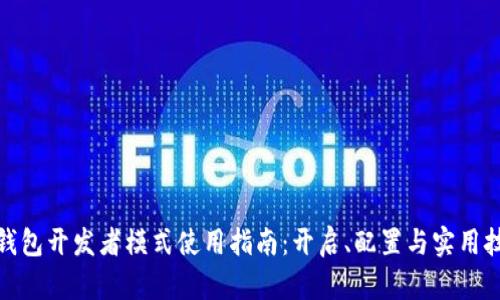 tp钱包开发者模式使用指南：开启、配置与实用技巧