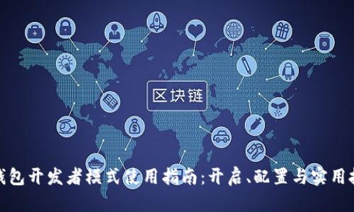 tp钱包开发者模式使用指南：开启、配置与实用技巧